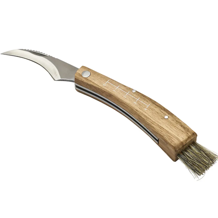 Cheap Couteau à champignon Autres Couteaux De Cuisine|Couteaux De Poche