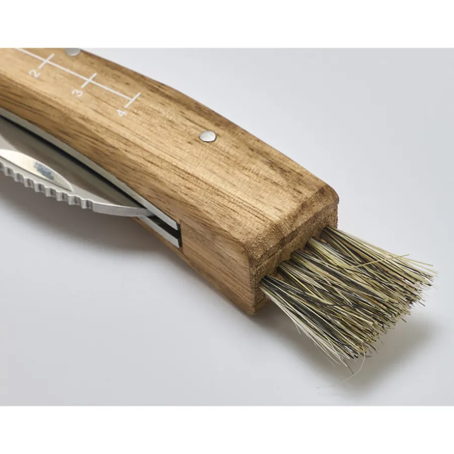 Cheap Couteau à champignon Autres Couteaux De Cuisine|Couteaux De Poche
